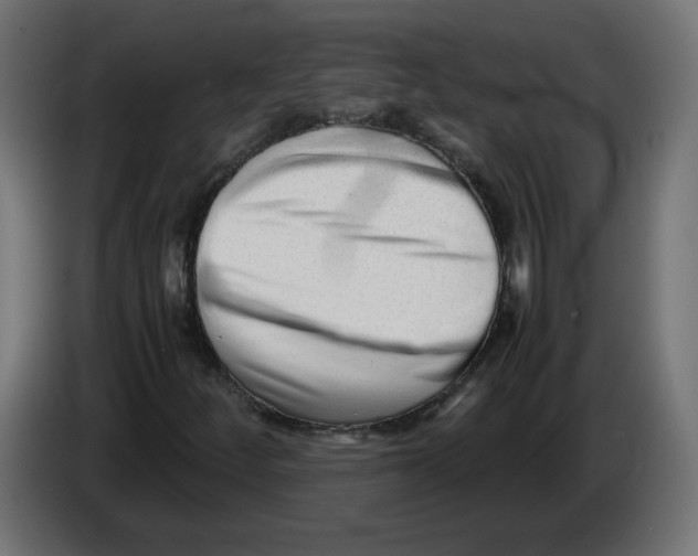 X0000082951252200703020142