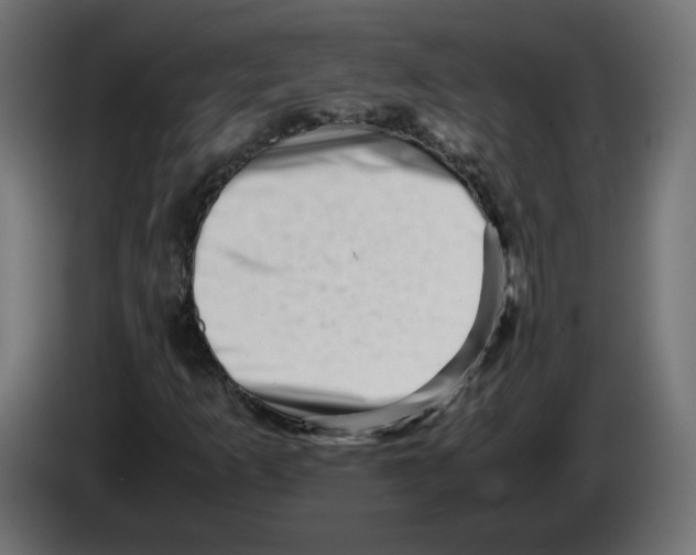 X0000082951253200703020142