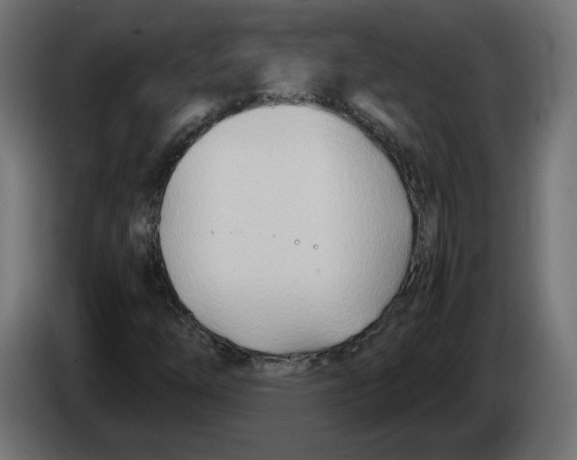 X0000082951254200703020141