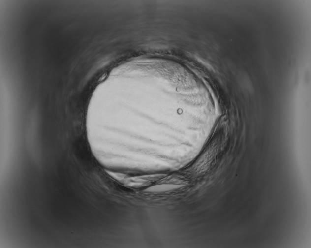 X0000082951255200703020141