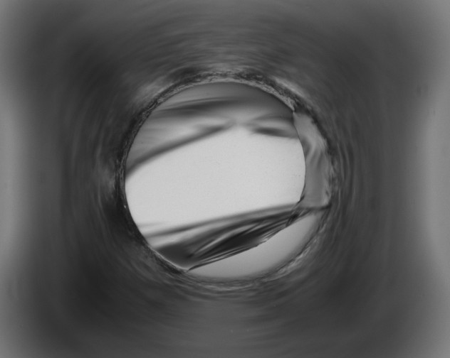 X0000082951257200703020141