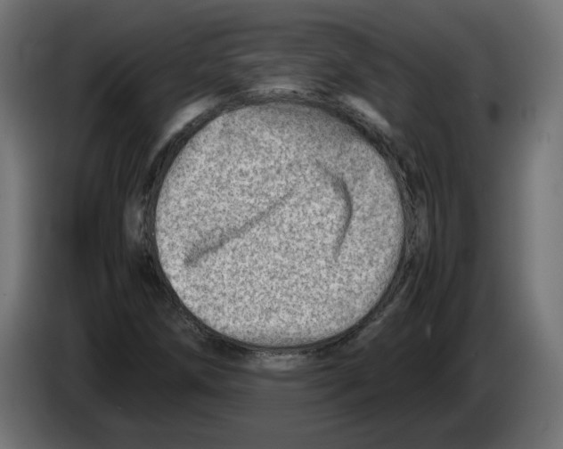 X0000082951258200703020141