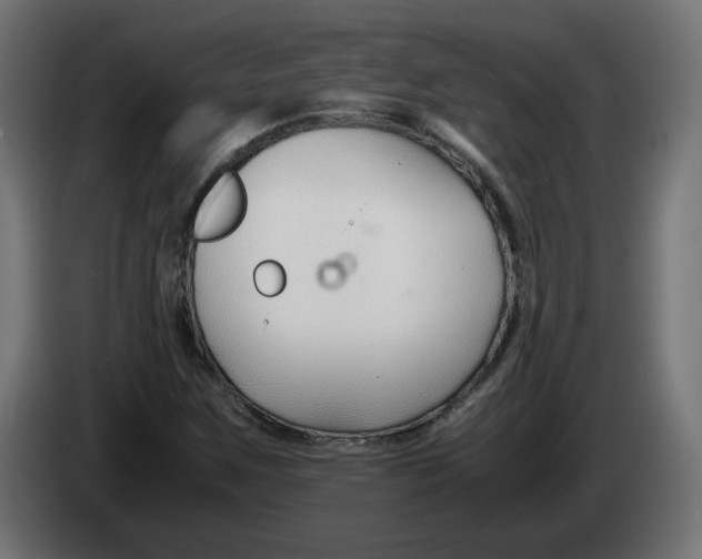 X0000082951259200703020141