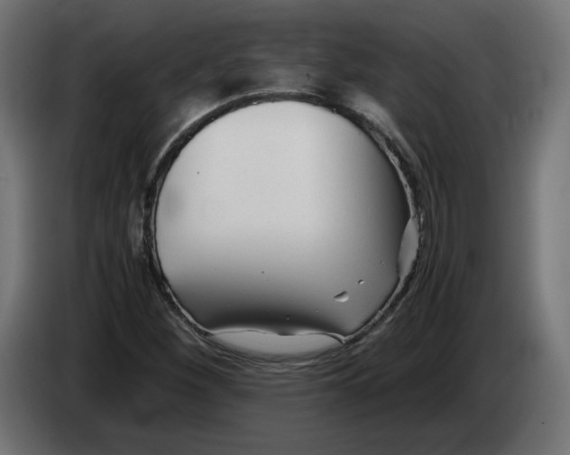 X0000082951260200703020141