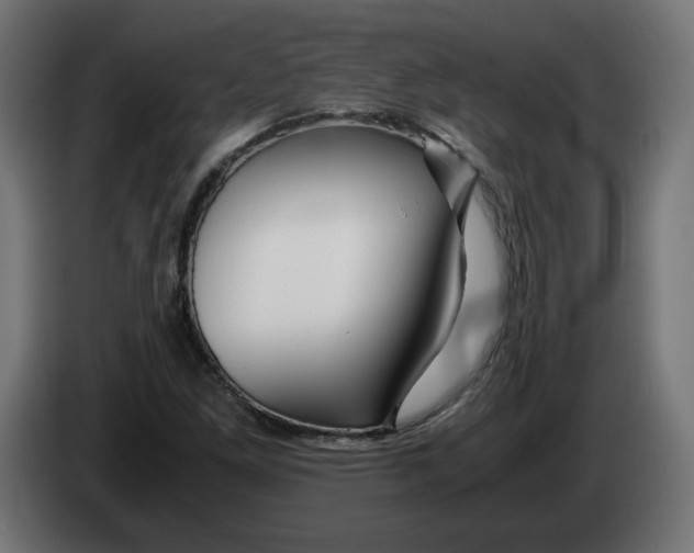 X0000082951261200703020141