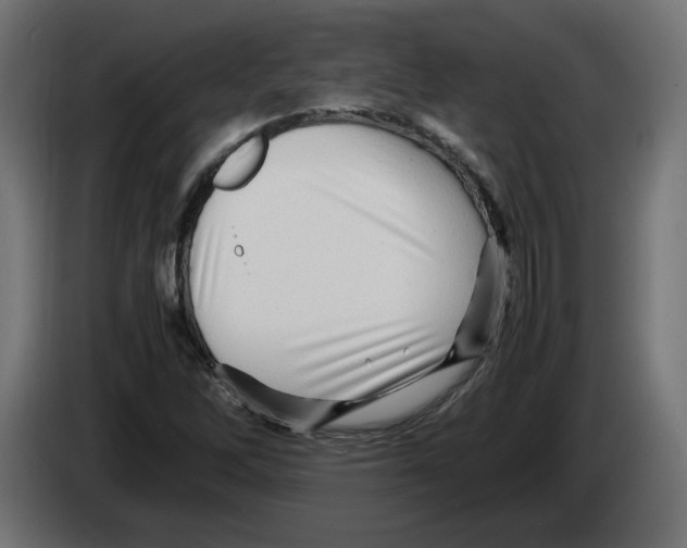 X0000082951262200703020141