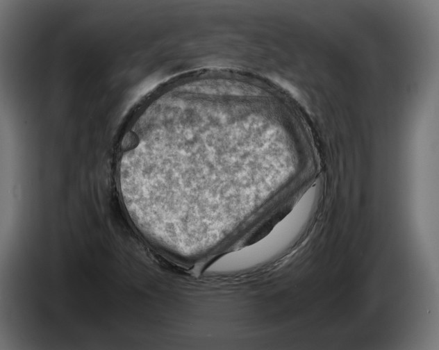 X0000082951263200703020141