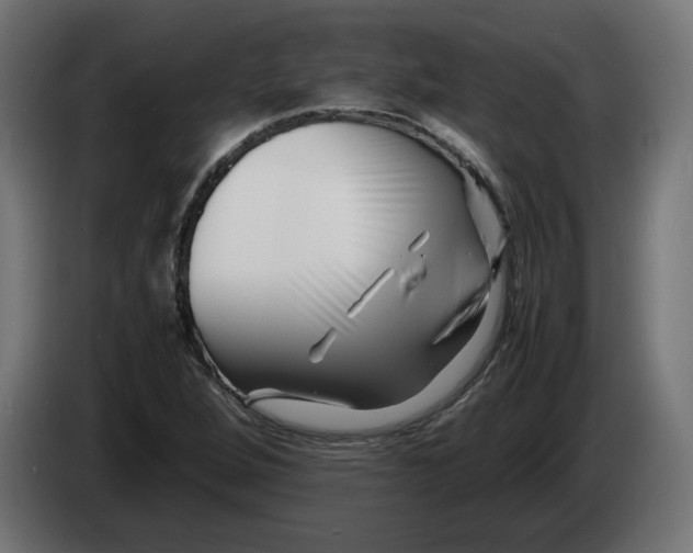 X0000082951264200703020141