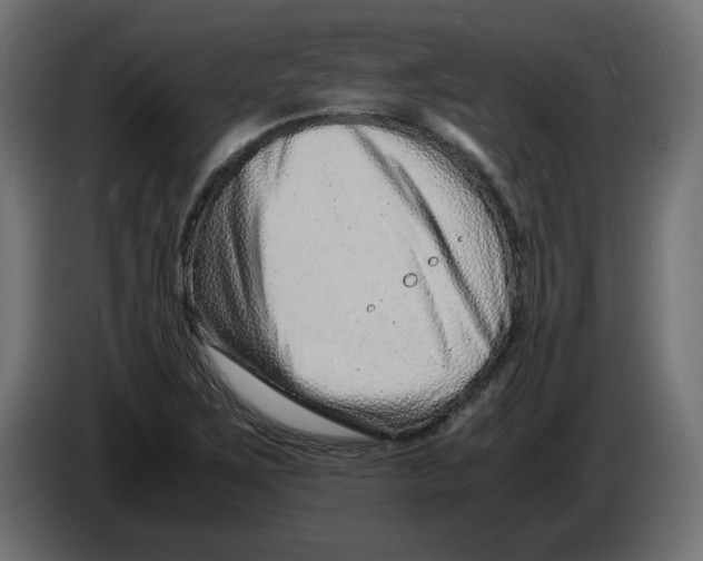 X0000082951267200703020141