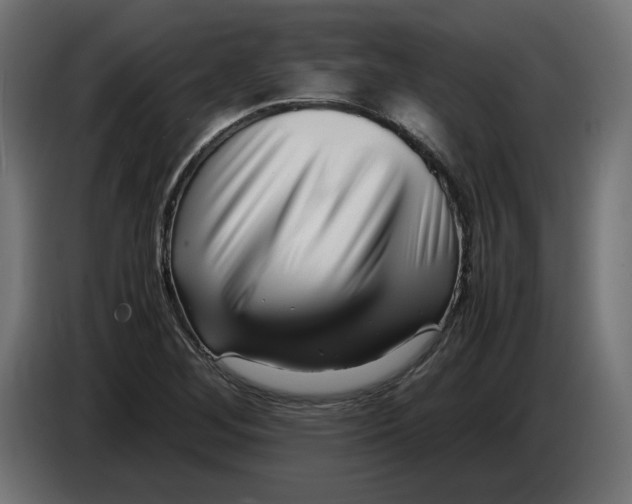 X0000082951268200703020141