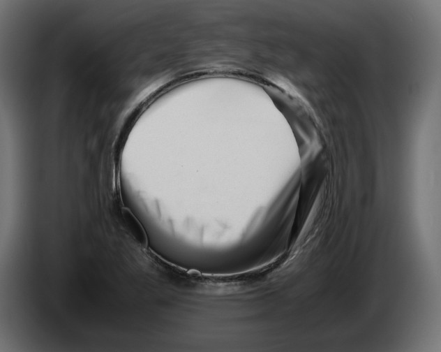 X0000082951269200703020141