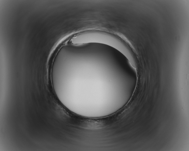 X0000082951270200703020141