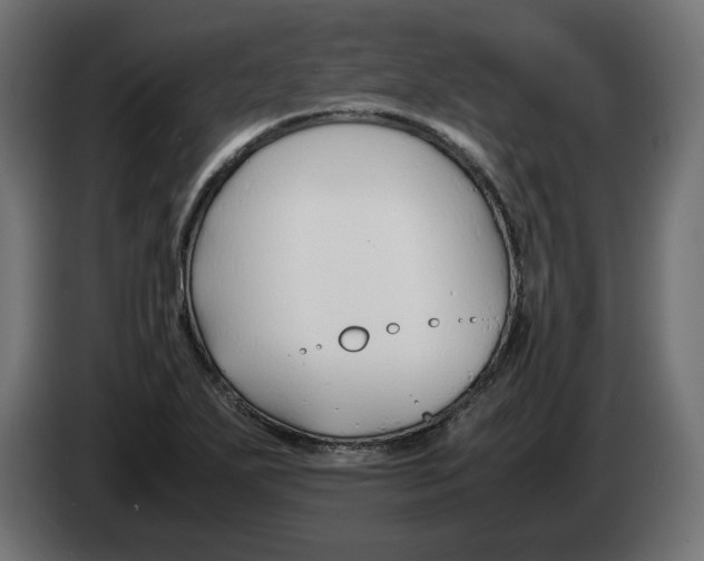 X0000082951271200703020141