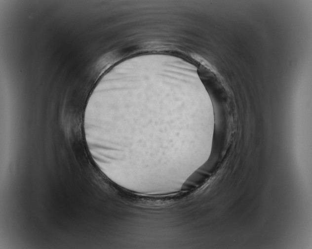 X0000082951273200703020141