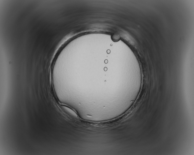 X0000082951275200703020141