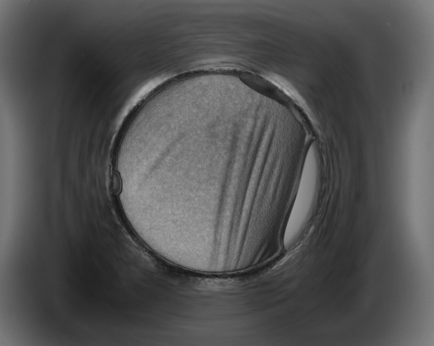 X0000082951277200703020141