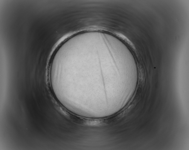 X0000082951278200703020141