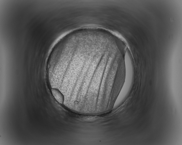 X0000082951279200703020141