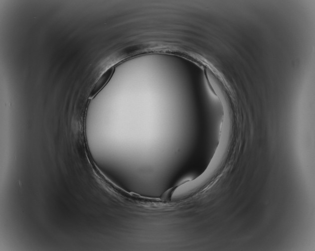 X0000082951281200703020141