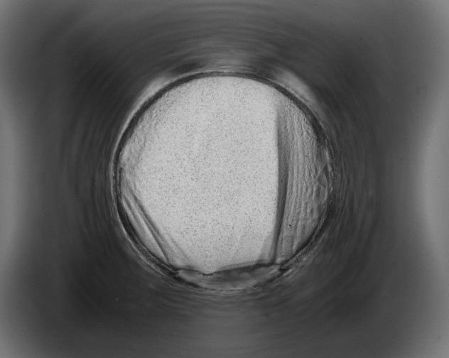 X0000082951283200703020141