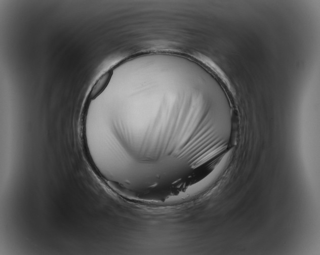 X0000082951285200703020141