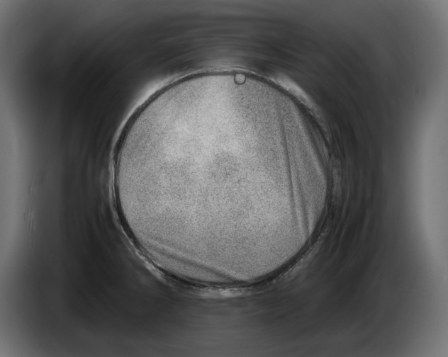 X0000082951286200703020141