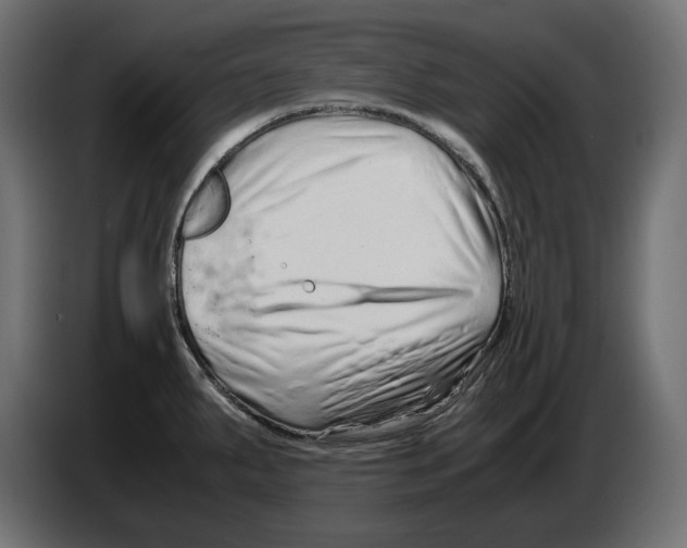 X0000082951287200703020141