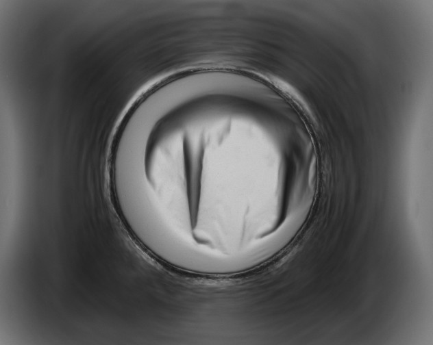 X0000082951288200703020141