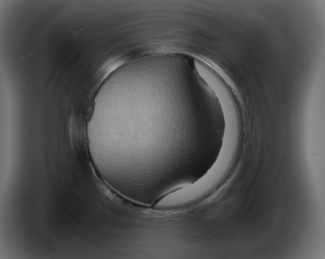 X0000082951289200703020141