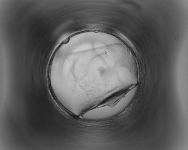 X0000082951291200703020141