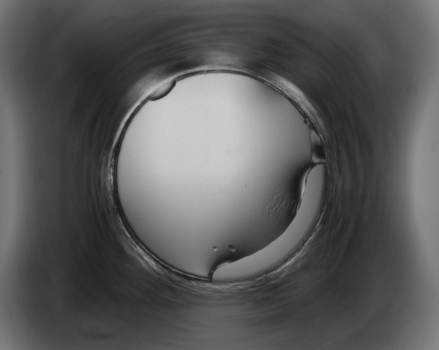 X0000082951292200703020141