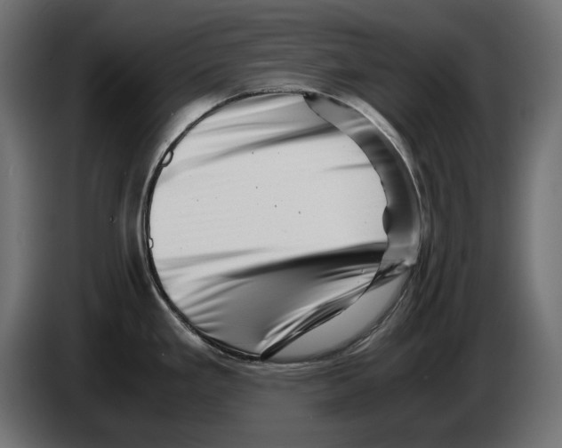 X0000082951293200703020141