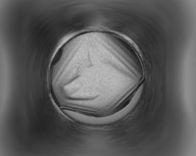 X0000082951295200703020141