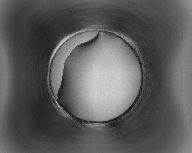 X0000082951296200703020141