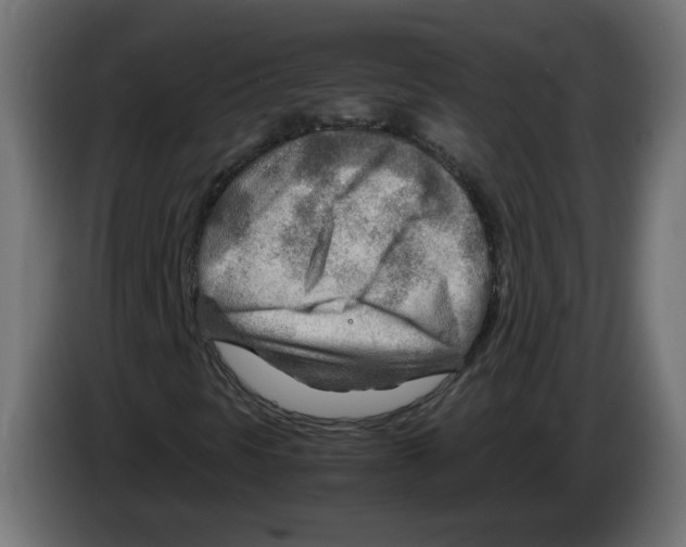 X0000082951297200703020140