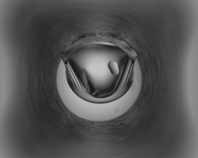 X0000082951298200703020140