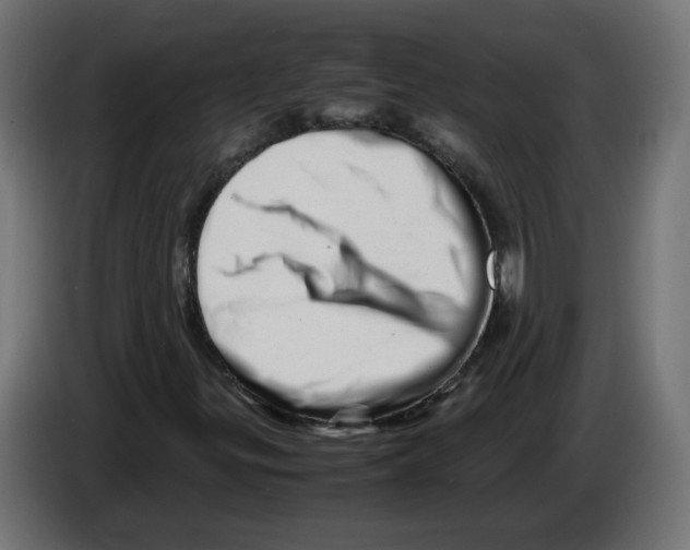 X0000082951299200703020140