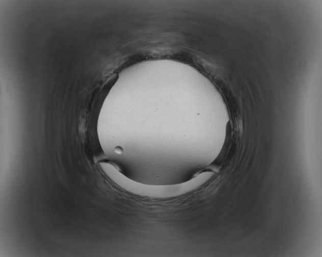 X0000082951300200703020140