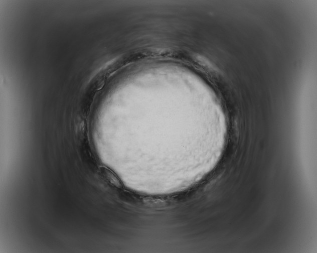 X0000082951302200703020140