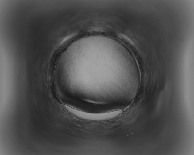 X0000082951303200703020140