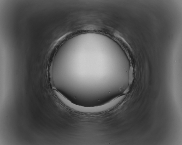 X0000082951304200703020140