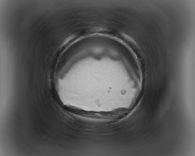 X0000082951305200703020140