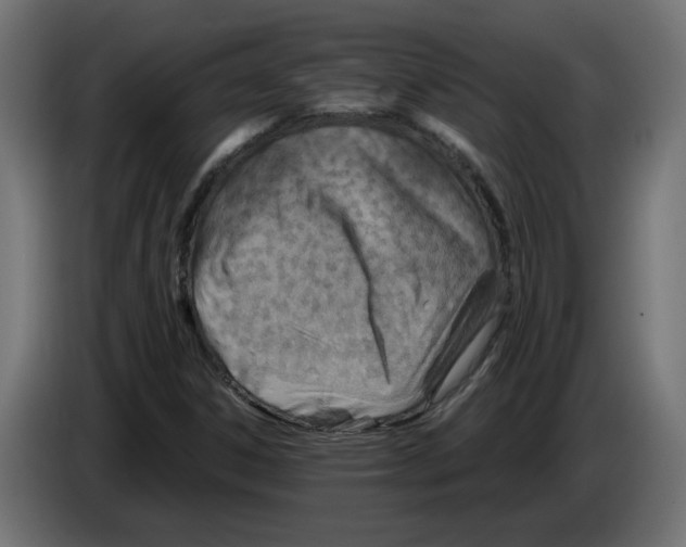 X0000082951306200703020140