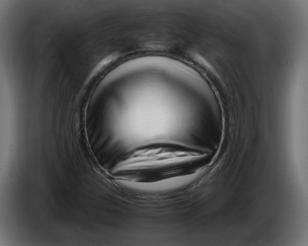 X0000082951307200703020140