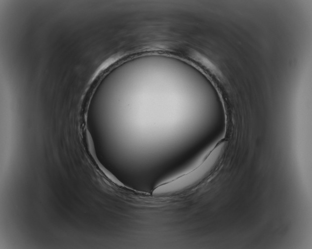 X0000082951308200703020140