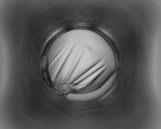 X0000082951309200703020140