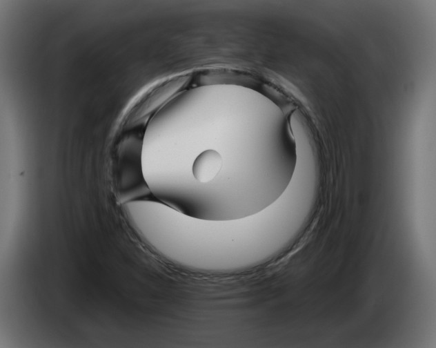 X0000082951310200703020140