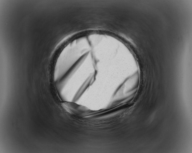 X0000082951311200703020140