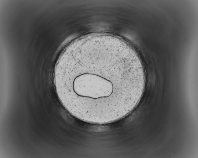 X0000082951314200703020140