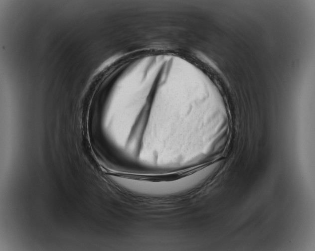 X0000082951315200703020140